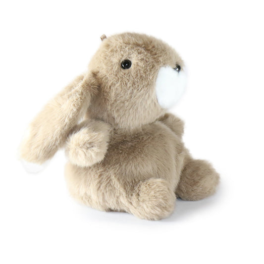 Benny Bunny: A Soft Push Toy for Minimalists, Decor Lovers, and Calm Spaces