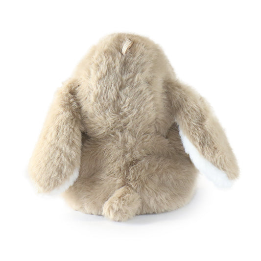 Benny Bunny: A Soft Push Toy for Minimalists, Decor Lovers, and Calm Spaces