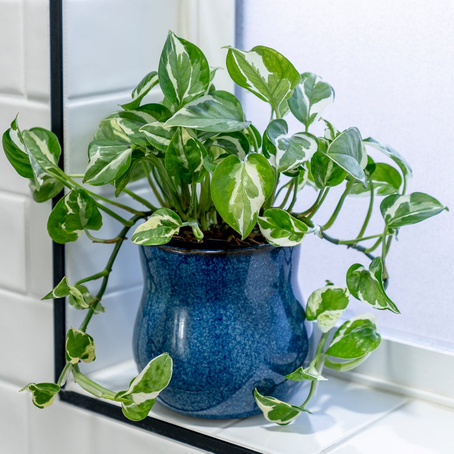 Ceramic Plant Pot with Rubber Liner - River Blue