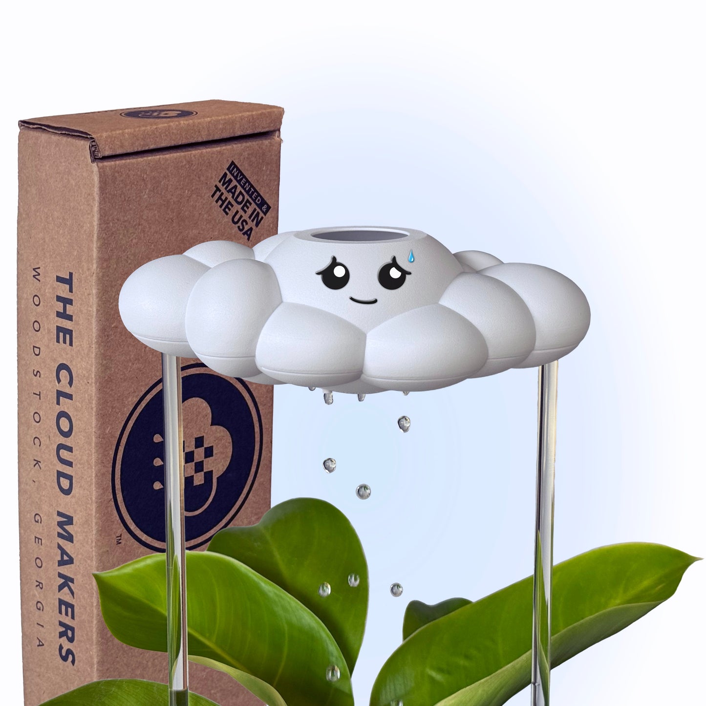 Cory the Cloud