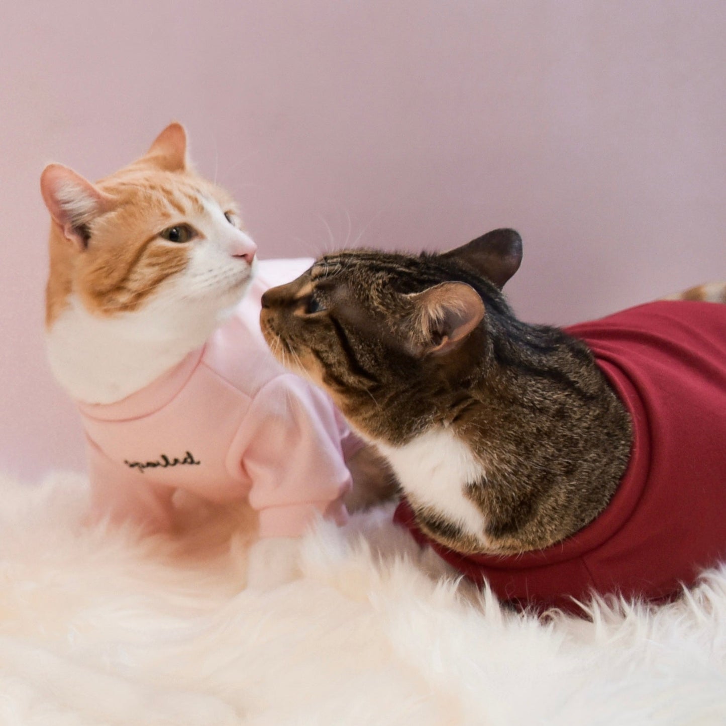 Fur Elise Spoiled Mock Neck Shirt - Blush