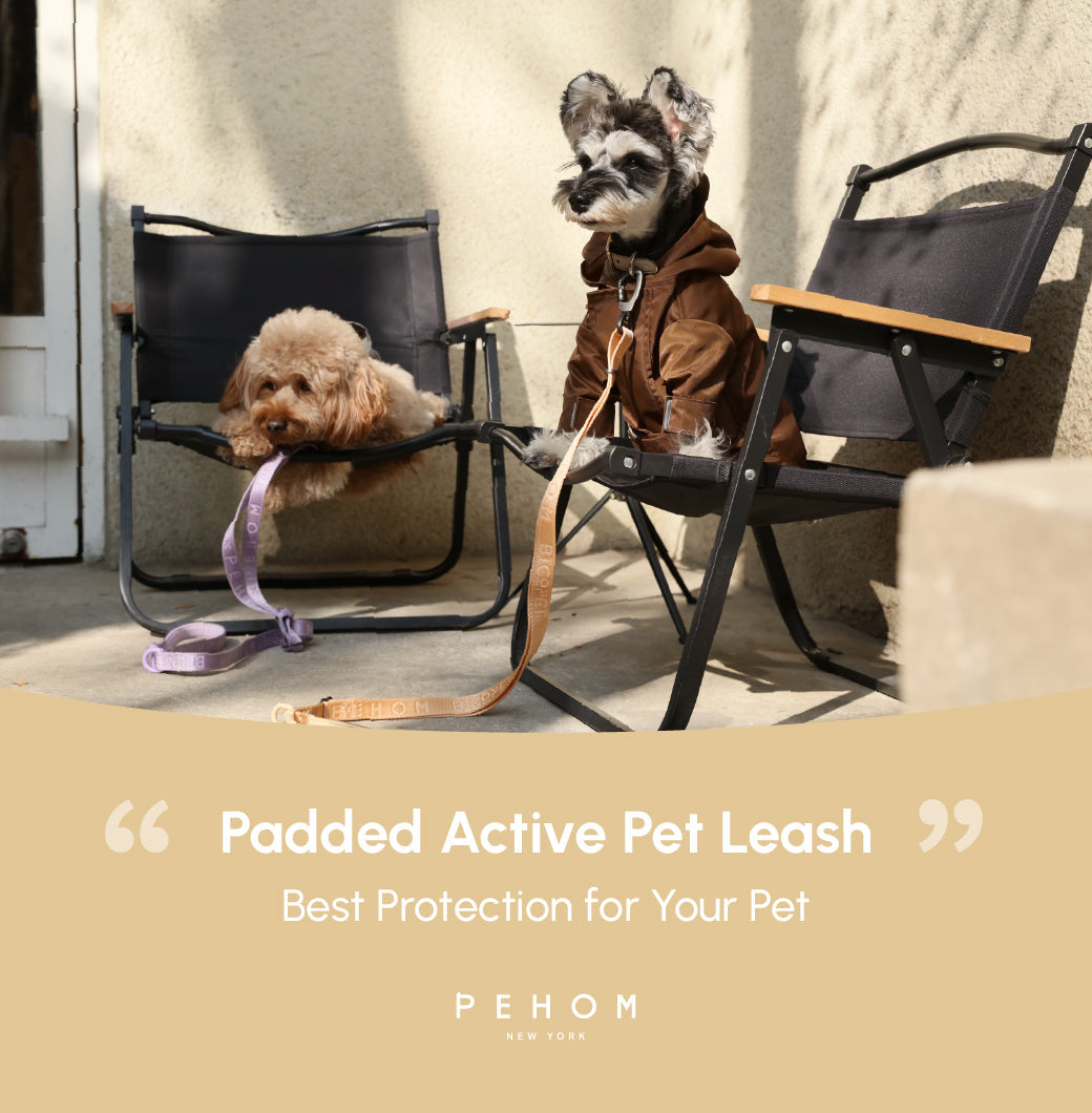 PADDED  ACTIVE  PET LEASH  - APRICOT