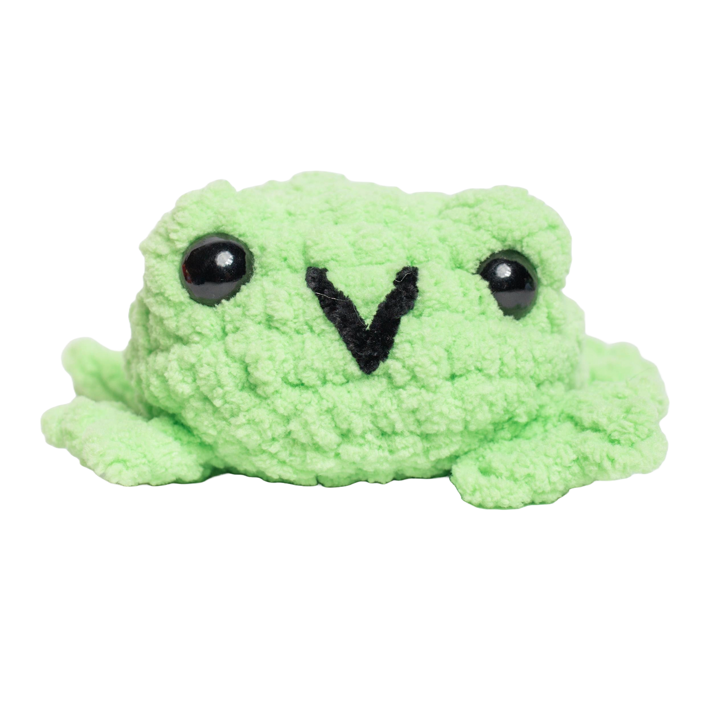 Fred the Flat Frog Crochet Plushie
