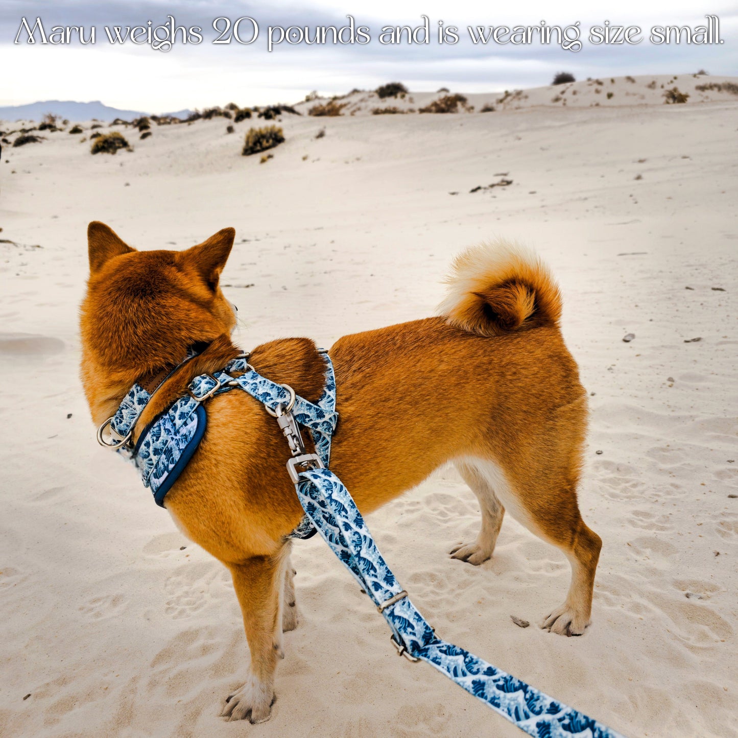 Great Wave Collar