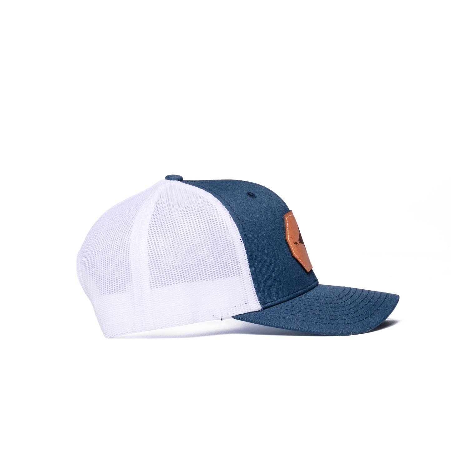 Walleye Patch Hat