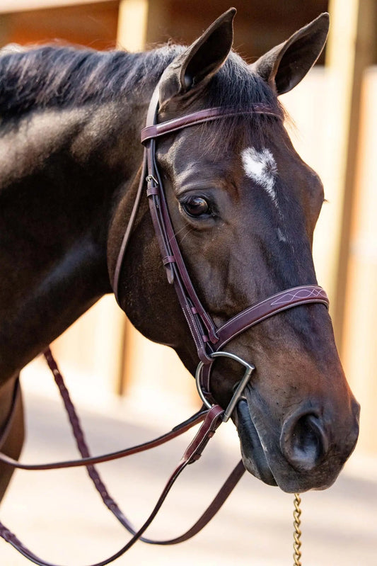Huntley Equestrian Fancy Stitched Schooling Hunter Bridle with Reins