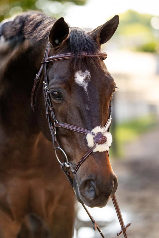 Huntley Equestrian Sedgwick Leather Padded Monocrown Figure 8 Bridle