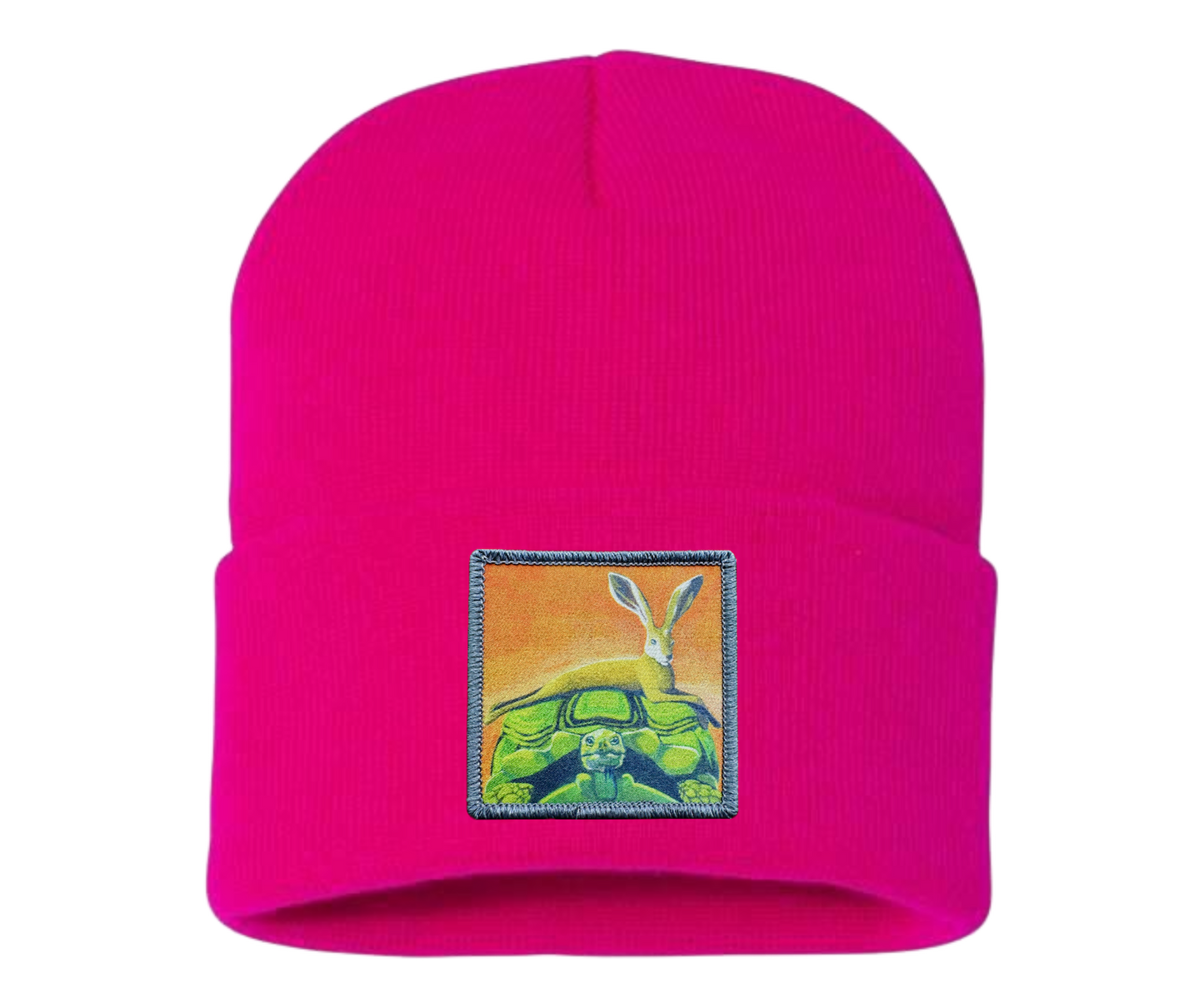 The Tortoise By a Hare Beanie