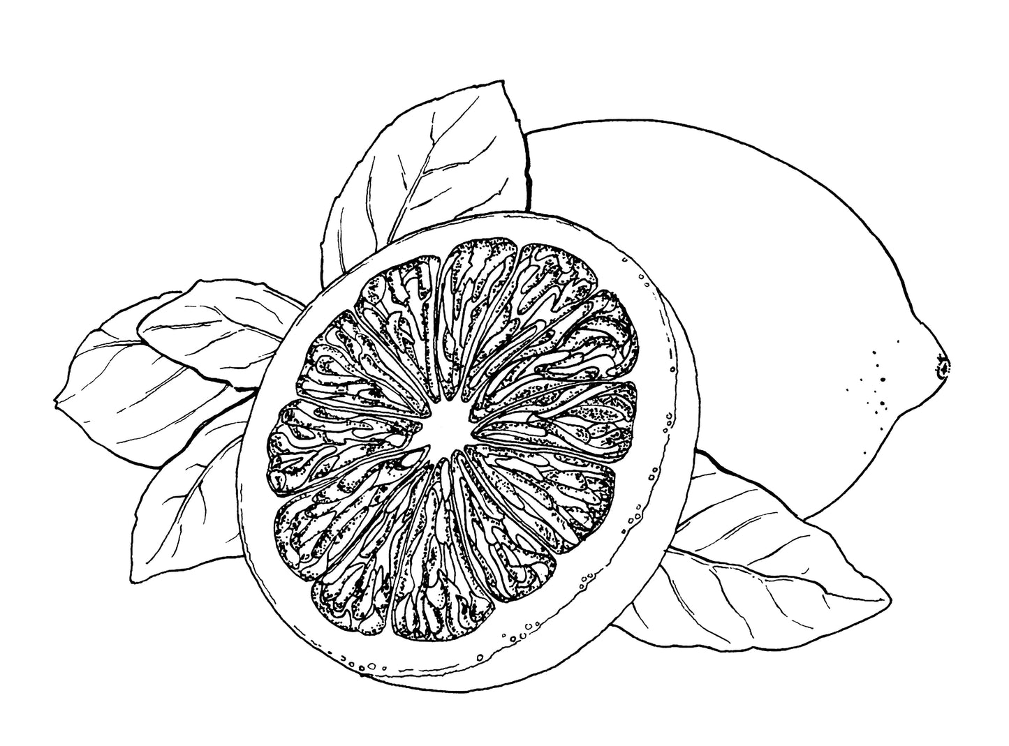 Citrus Cream Deodorant