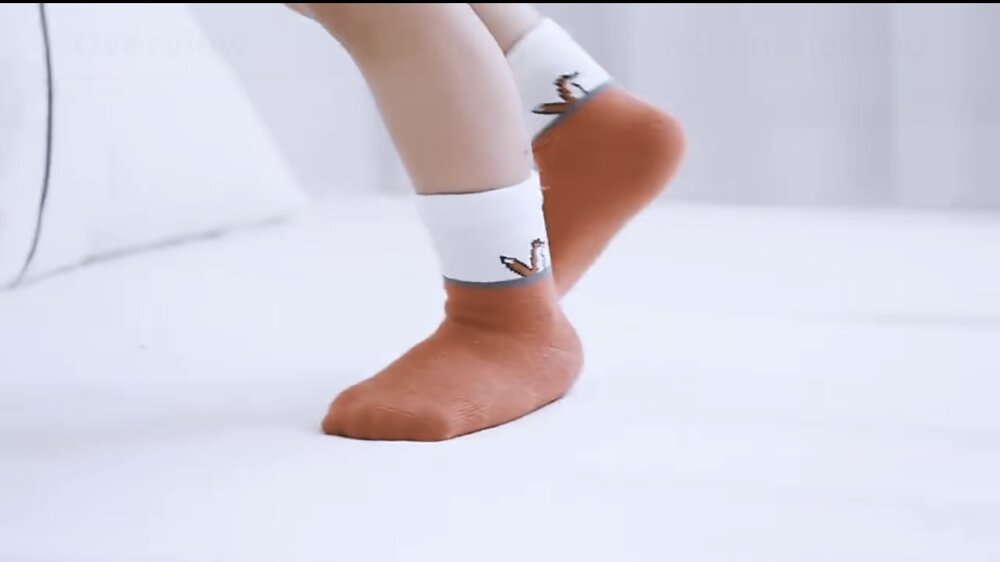 Organic Cotton Kids’ Socks  Socks for Toddlers & Little Kids | Fox