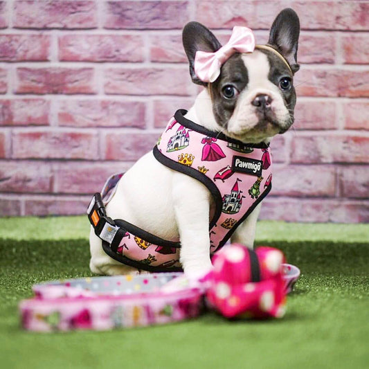 Fairytail Leash Kit