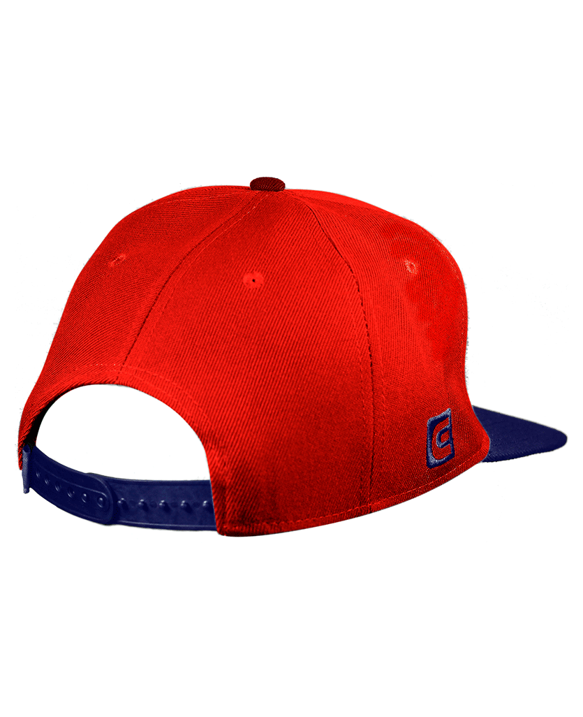 Watch Co Snapback Hat