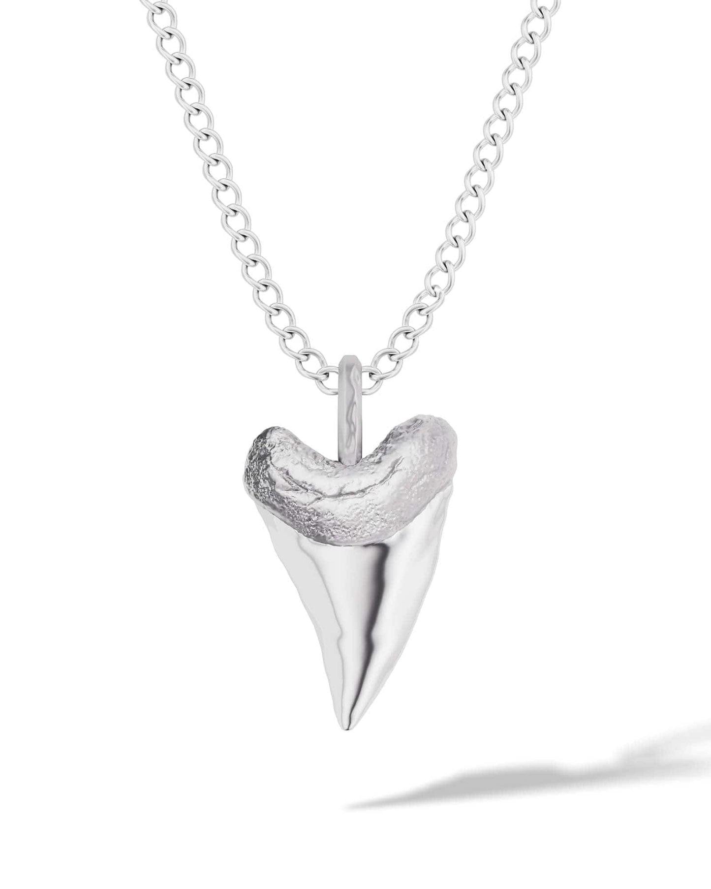 Shark Tooth Pendant Necklace