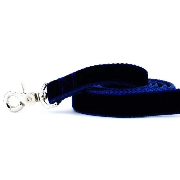 Navy Velvet Dog Leash 2 Hounds Design