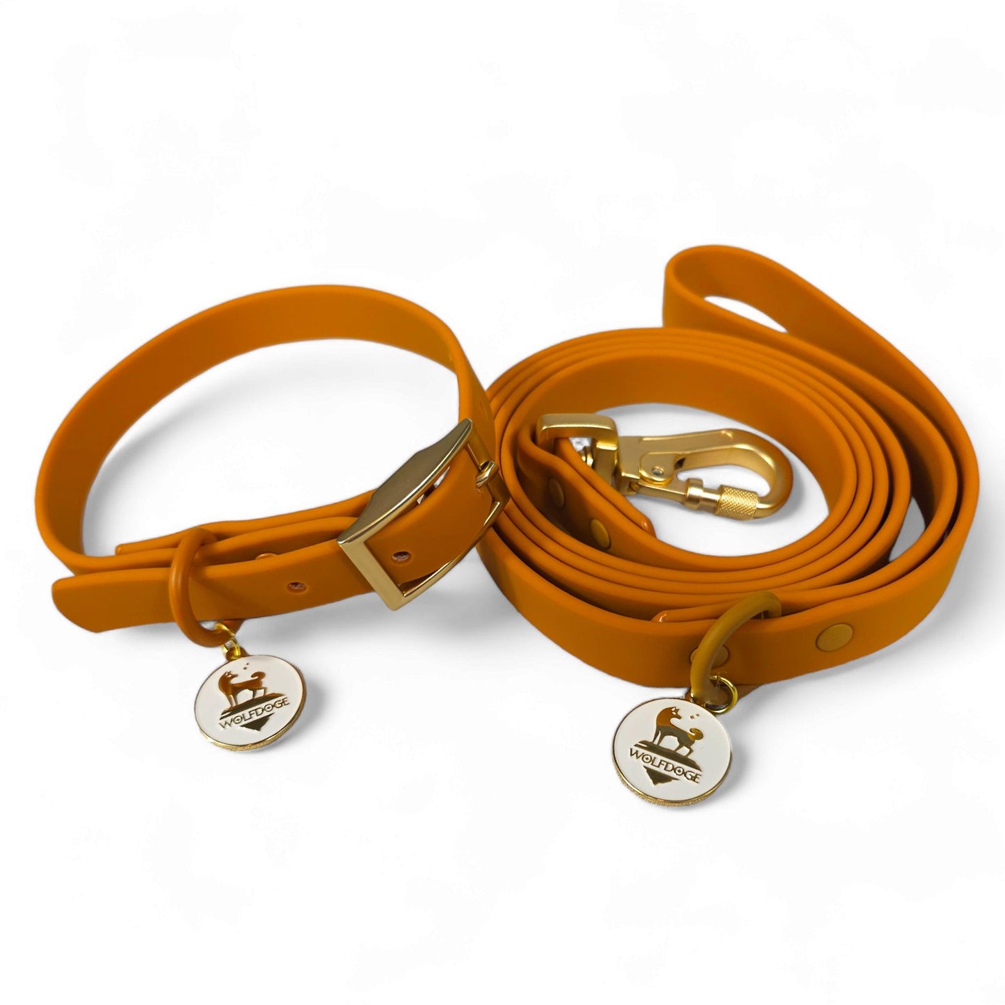 Waterproof Leash