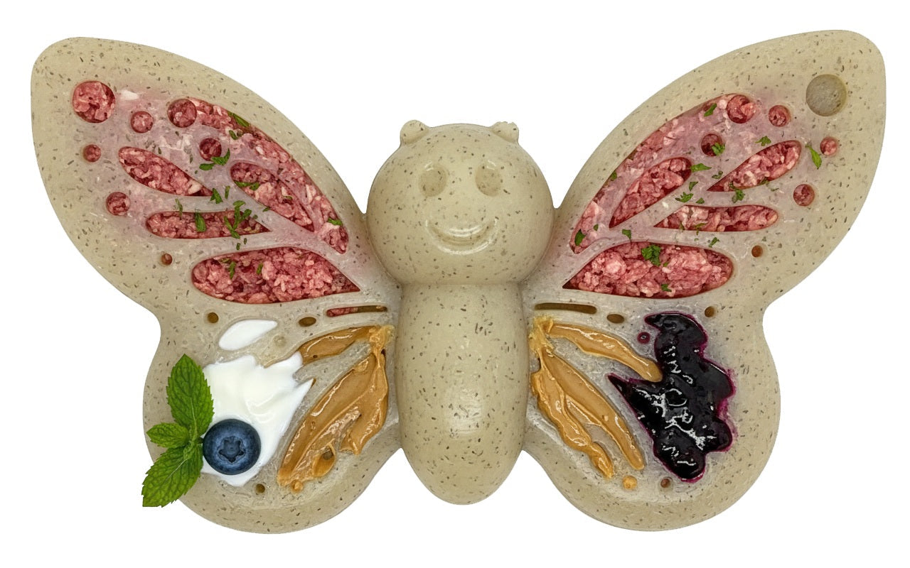 Butterfly Nylon Chew & Enrichment Toy | 2-in-1 for Aggressive Chewers | SodaPup