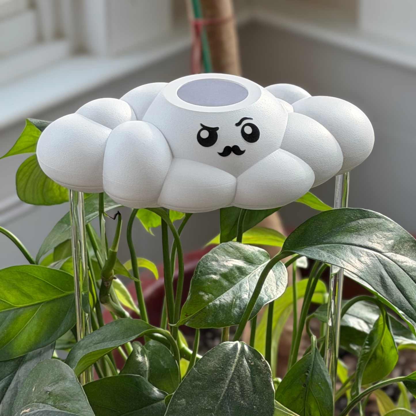Carl the Cloud