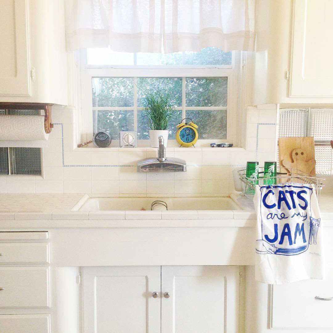 Cats Are My Jam Funny Cat Kitchen Towel | Flour Sack Tea Towel