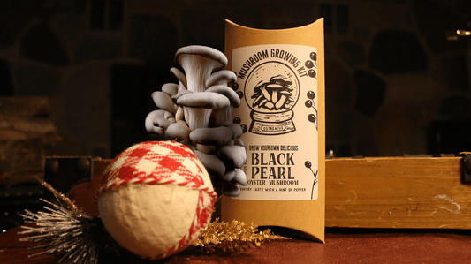 Black Pearl Oyster Mushroom Growing Kit Holiday Edition