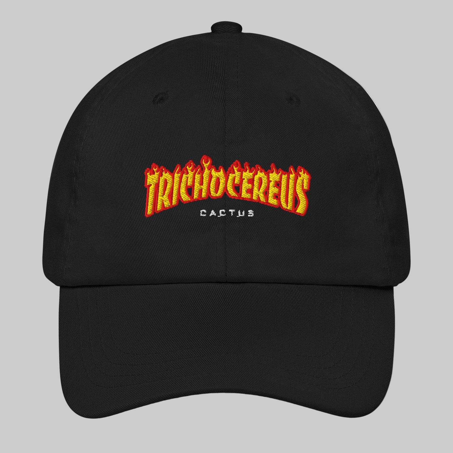 Trichocereus Dad hat