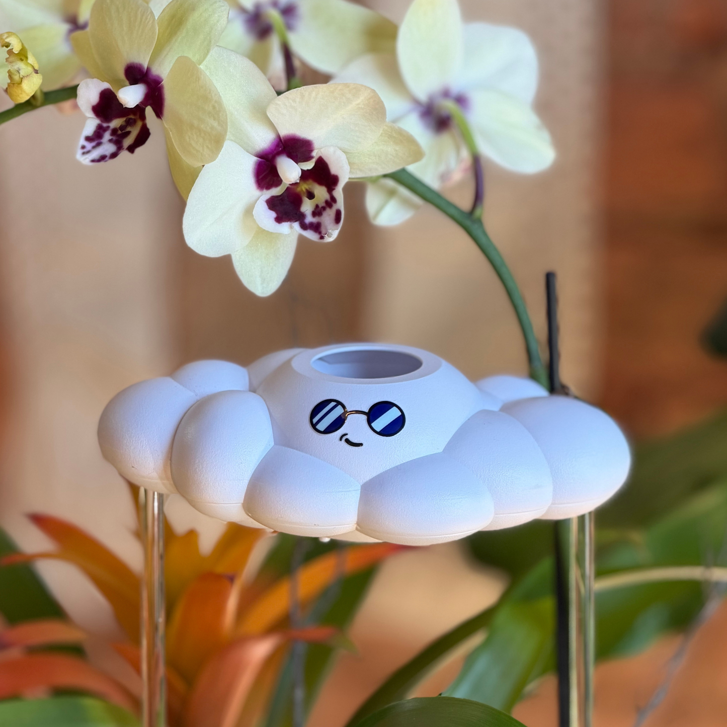 Cooper the Cloud