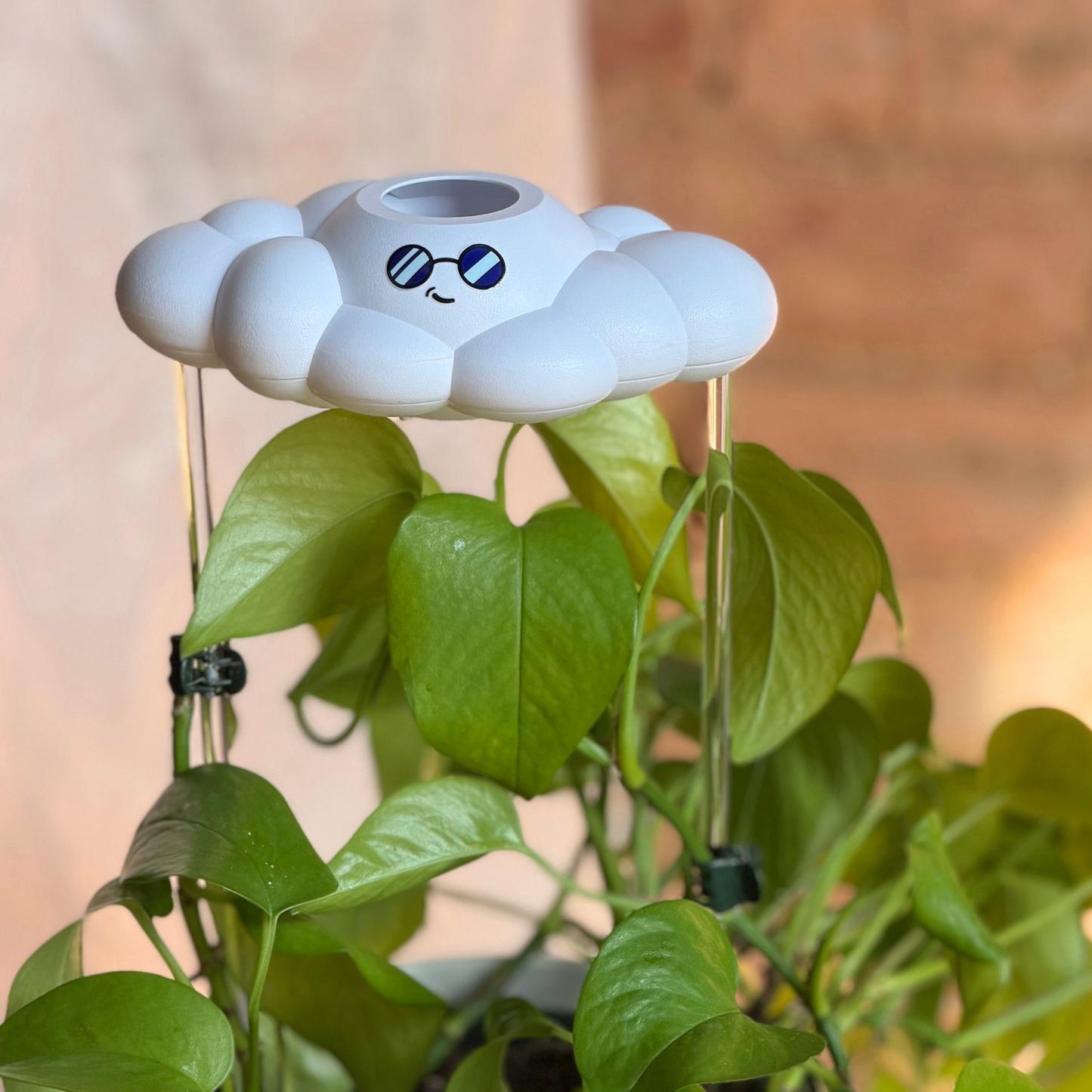 Cooper the Cloud