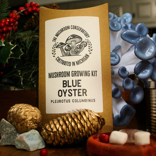 Blue Oyster Edible Mushroom Growing Kit - Gourmet Gift