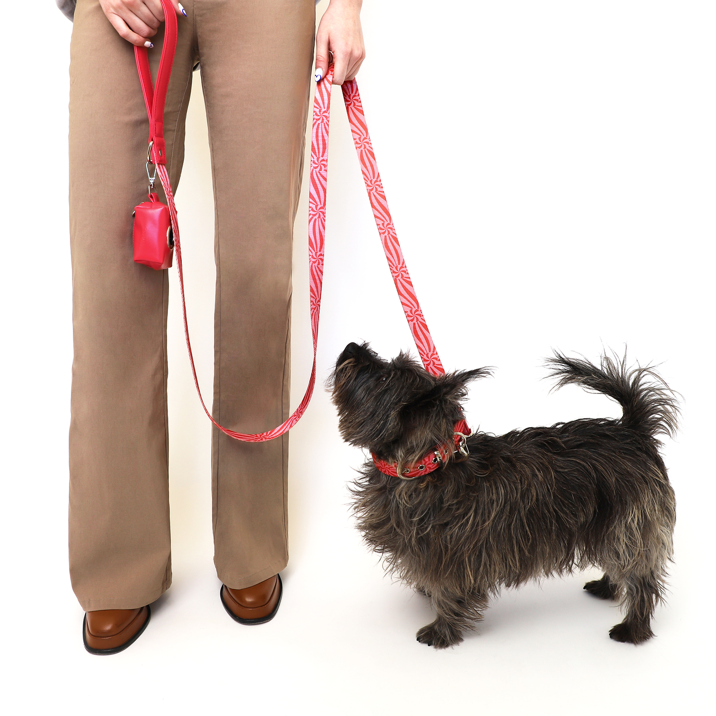 Ginger Leash