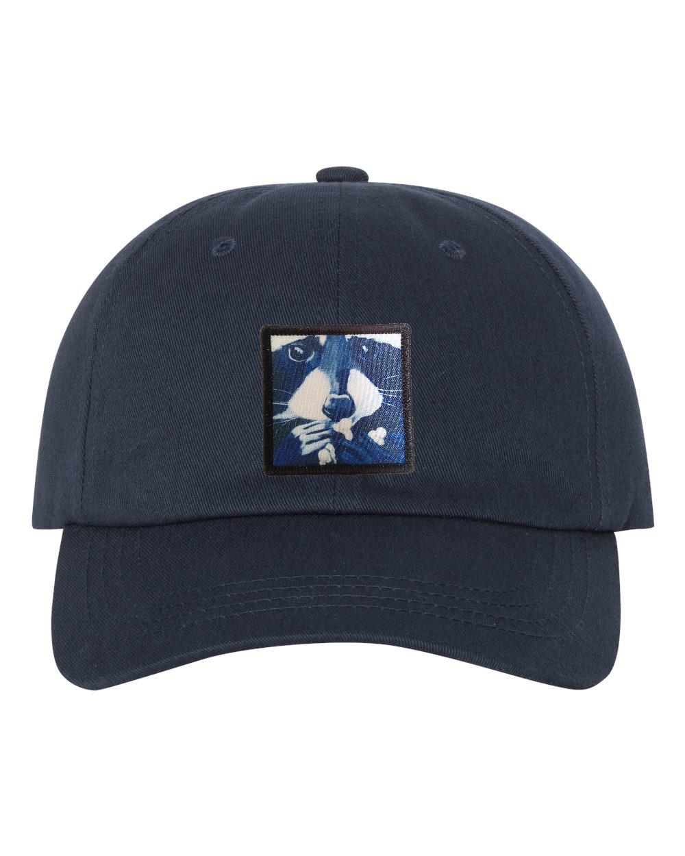 Eco-Washed Dad Hat
