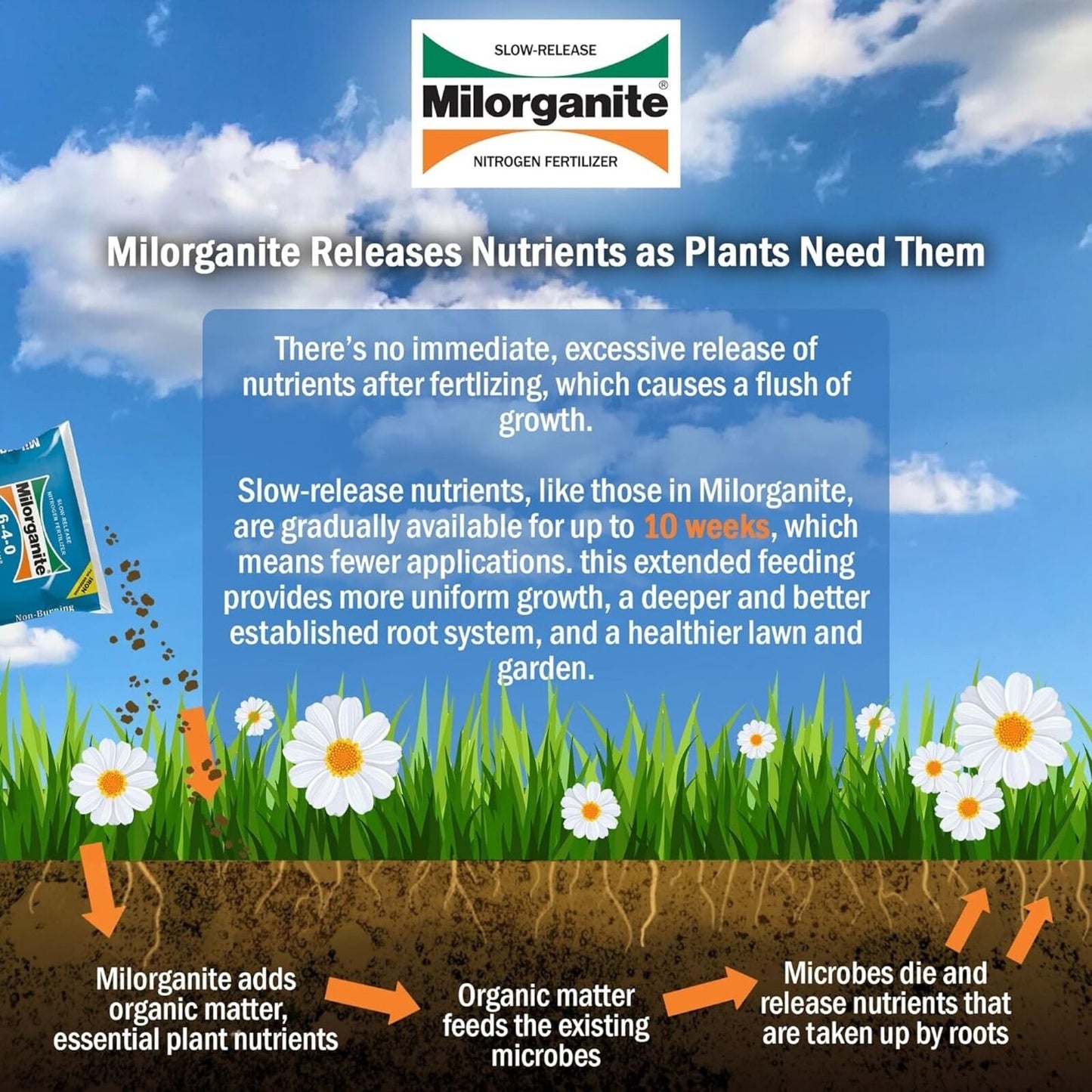 Milorganite All-Purpose Eco-Friendly Slow-Release Nitrogen Fertilizer, 32Lb