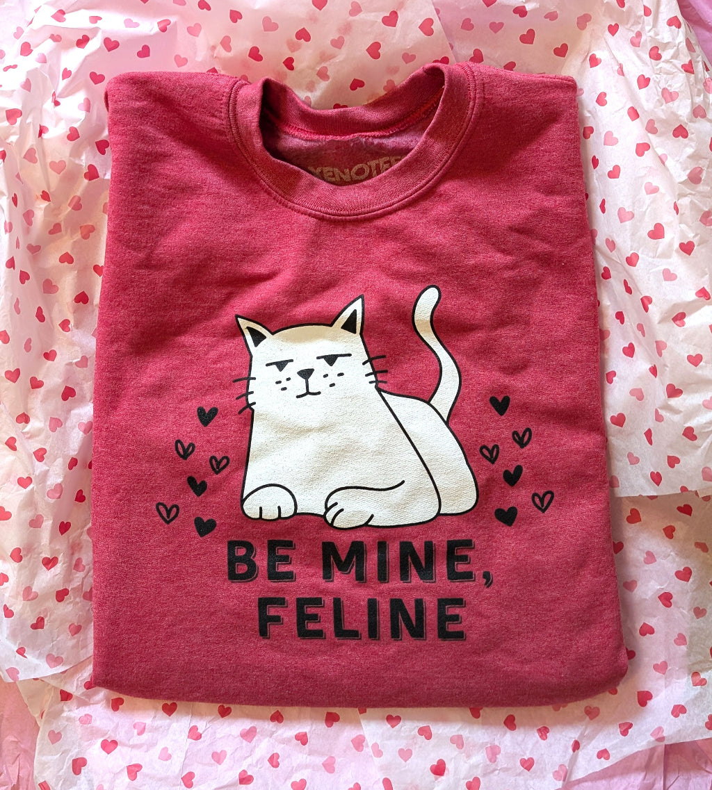Funny Be Mine Feline Cat Lover Valentine Sweatshirt