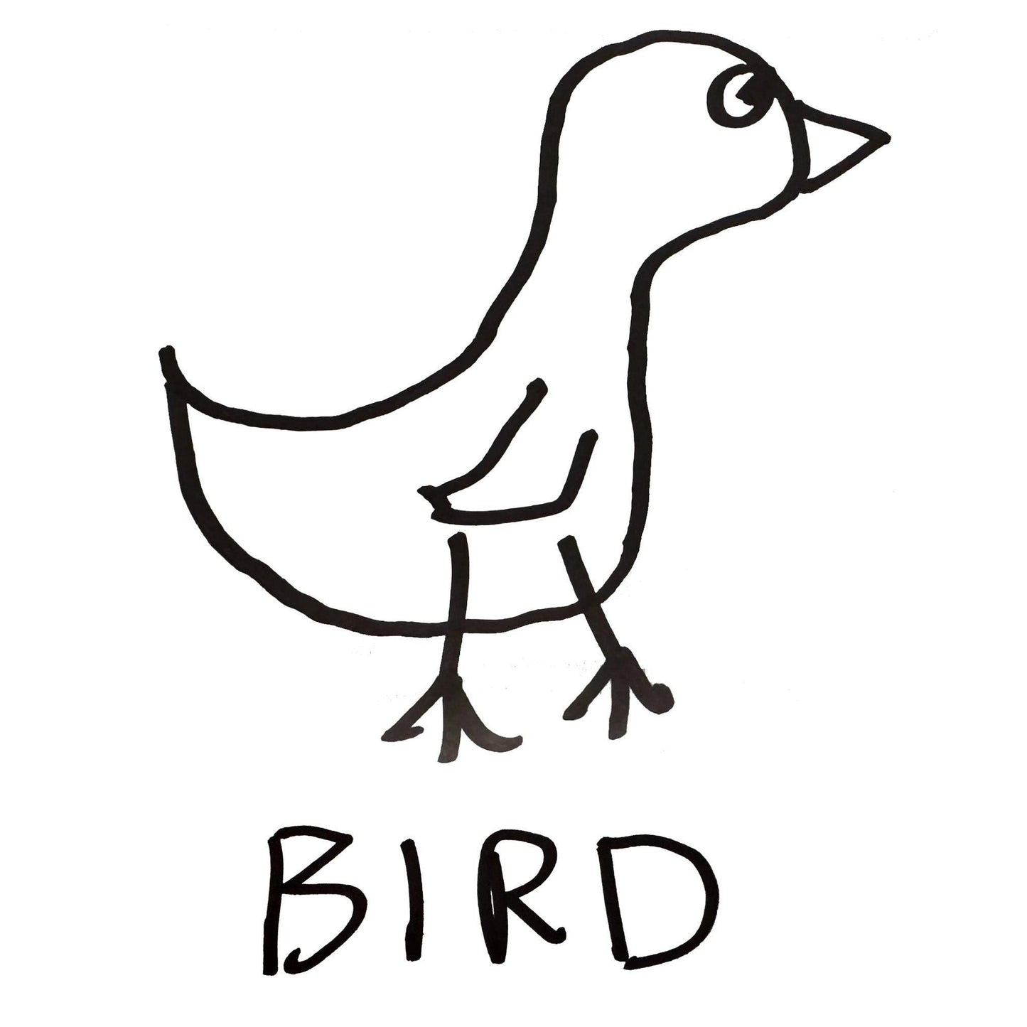 Bird - Baby Onesie