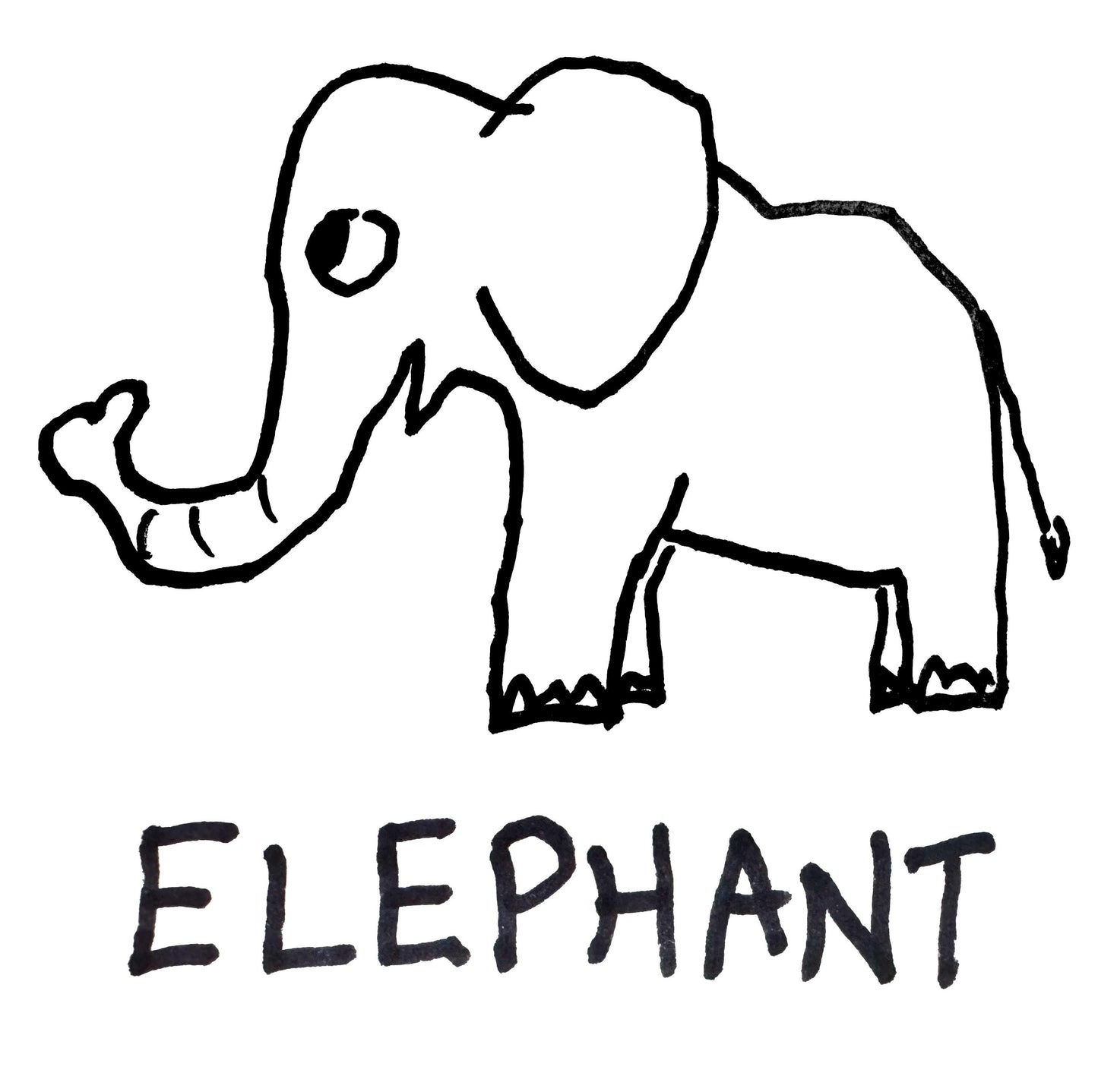 Elephant -  Long Sleeve Tee