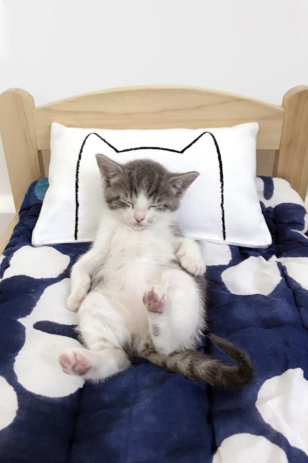 Cat Kicker Bed Pillow Catnip Kicker Toy