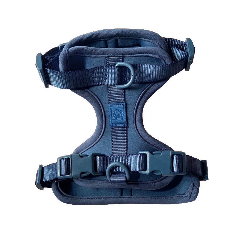 Harness