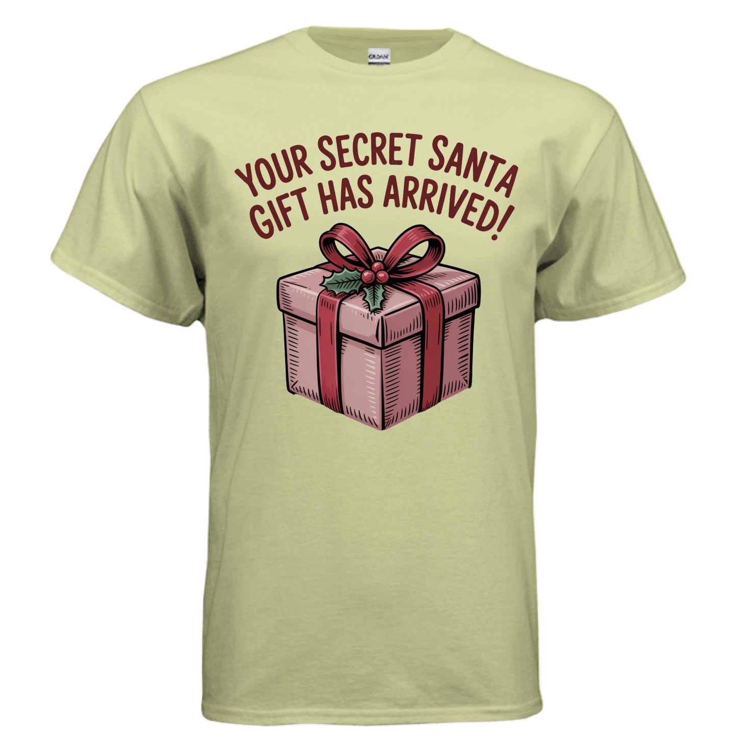 Santa t shirt