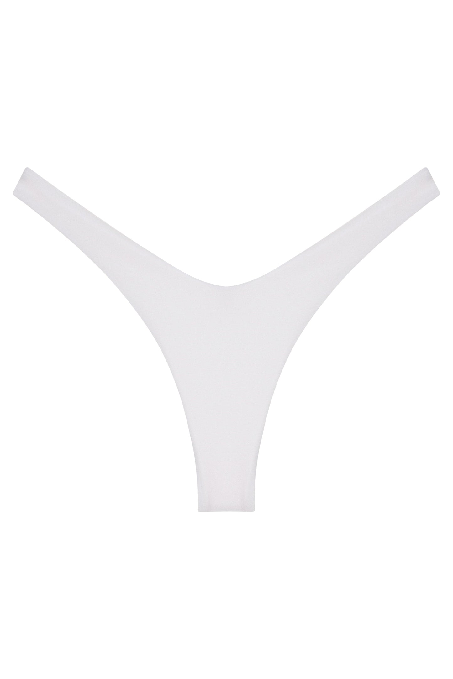 Ludisia Bottom
