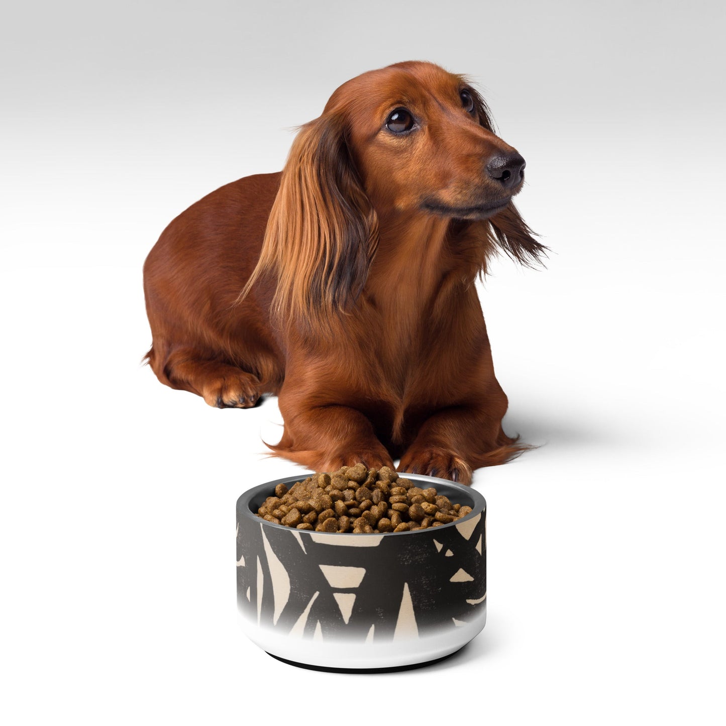 Sebastian & Clementine Composition XXII Pet Bowl