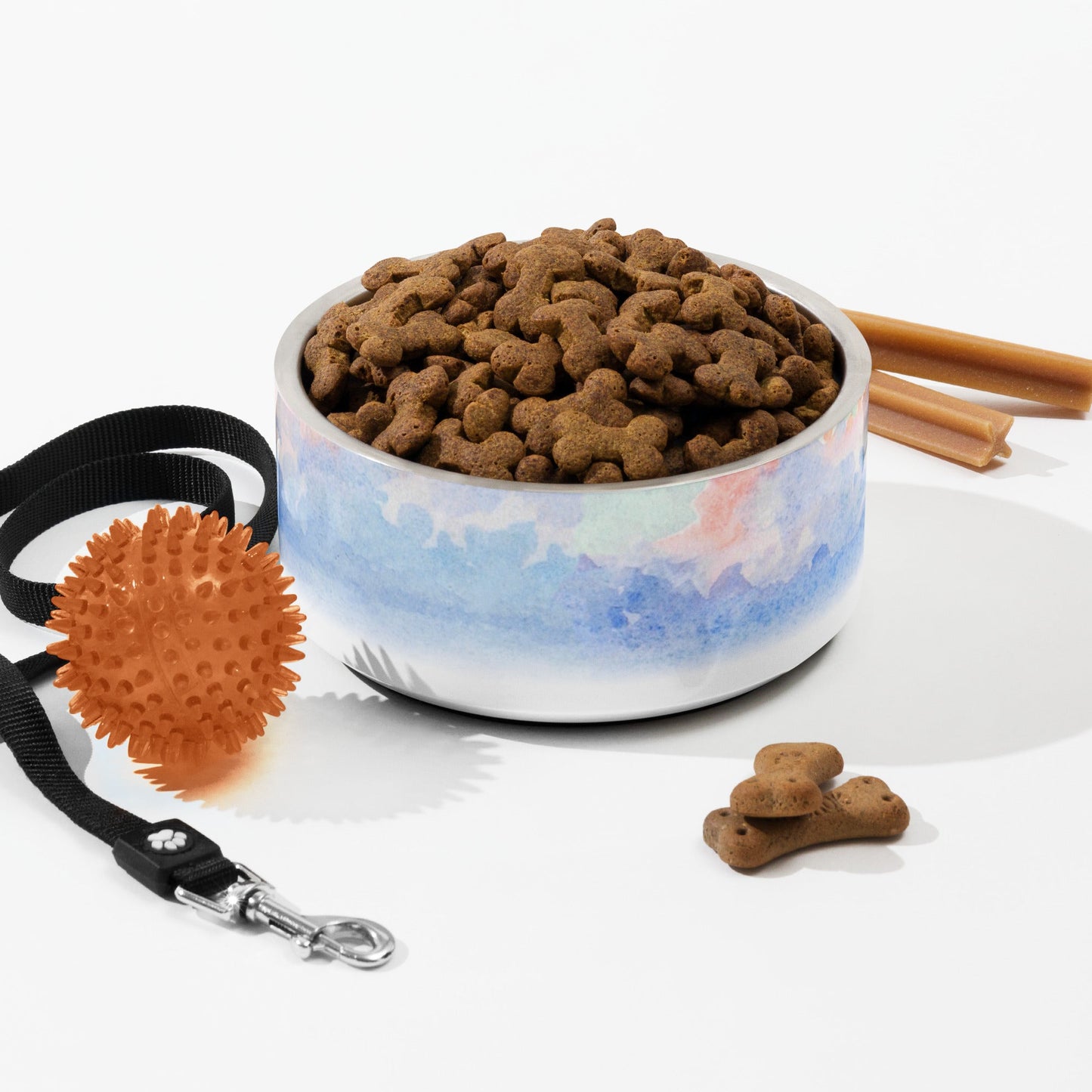 Sebastian & Clementine Venice Pet Bowl