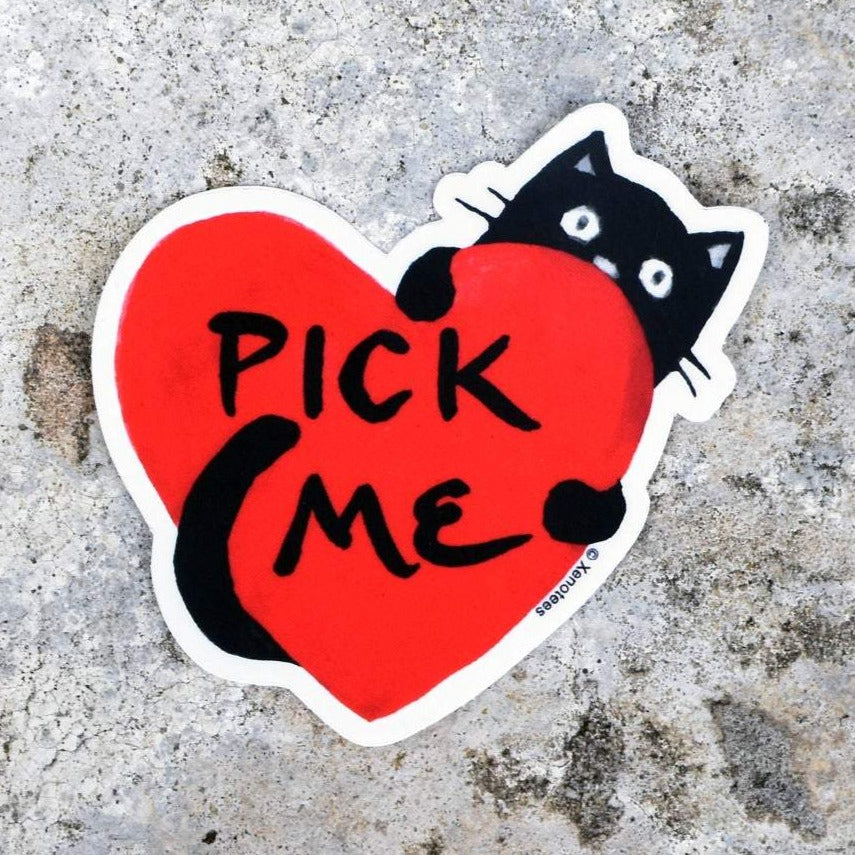 "Pick Me" Black Cat Adoption Vinyl Sticker