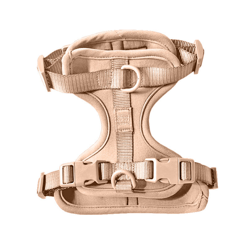 Harness