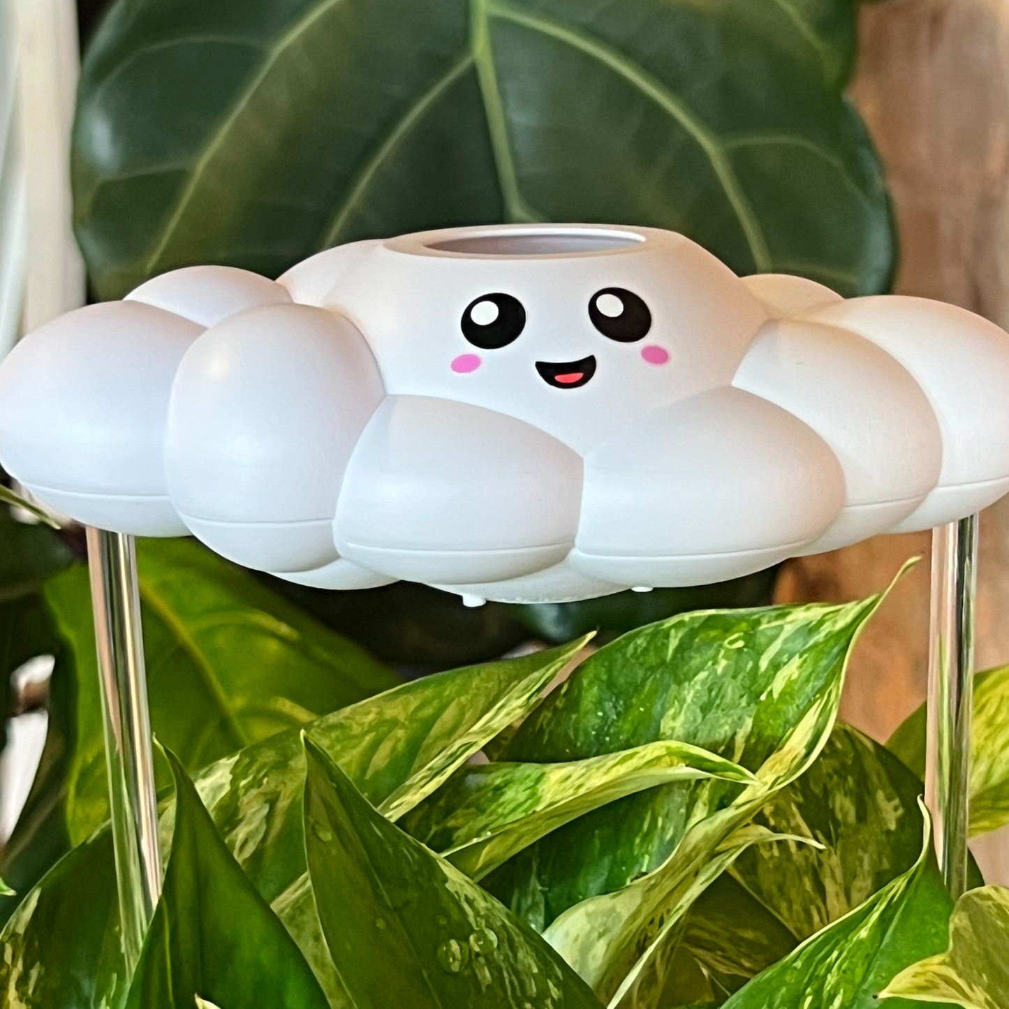 Skylar the Cloud