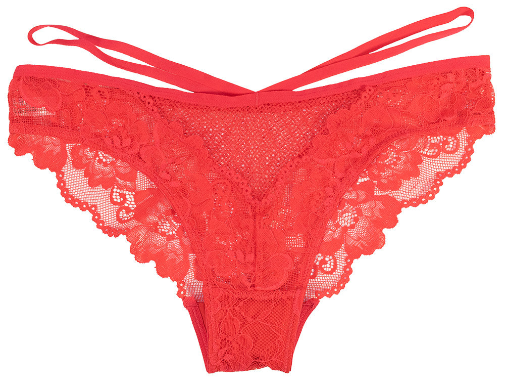 Floral Lace and Mesh Cheeky