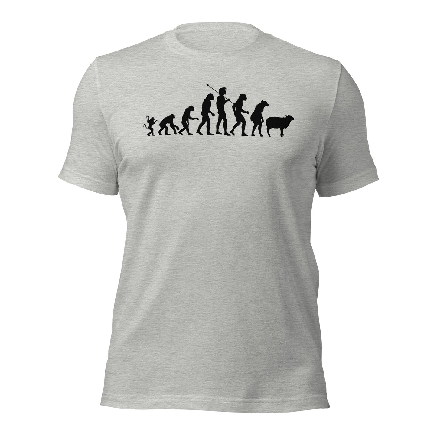 Evolution of Modern Man