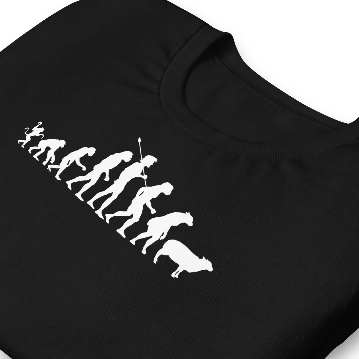 Evolution of Modern Man