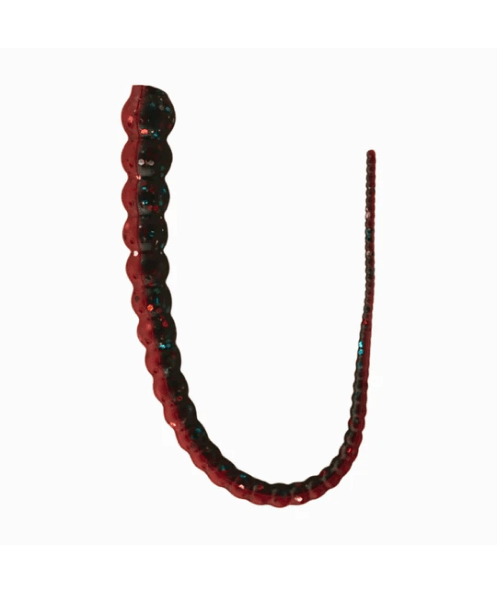 Whip Worm
