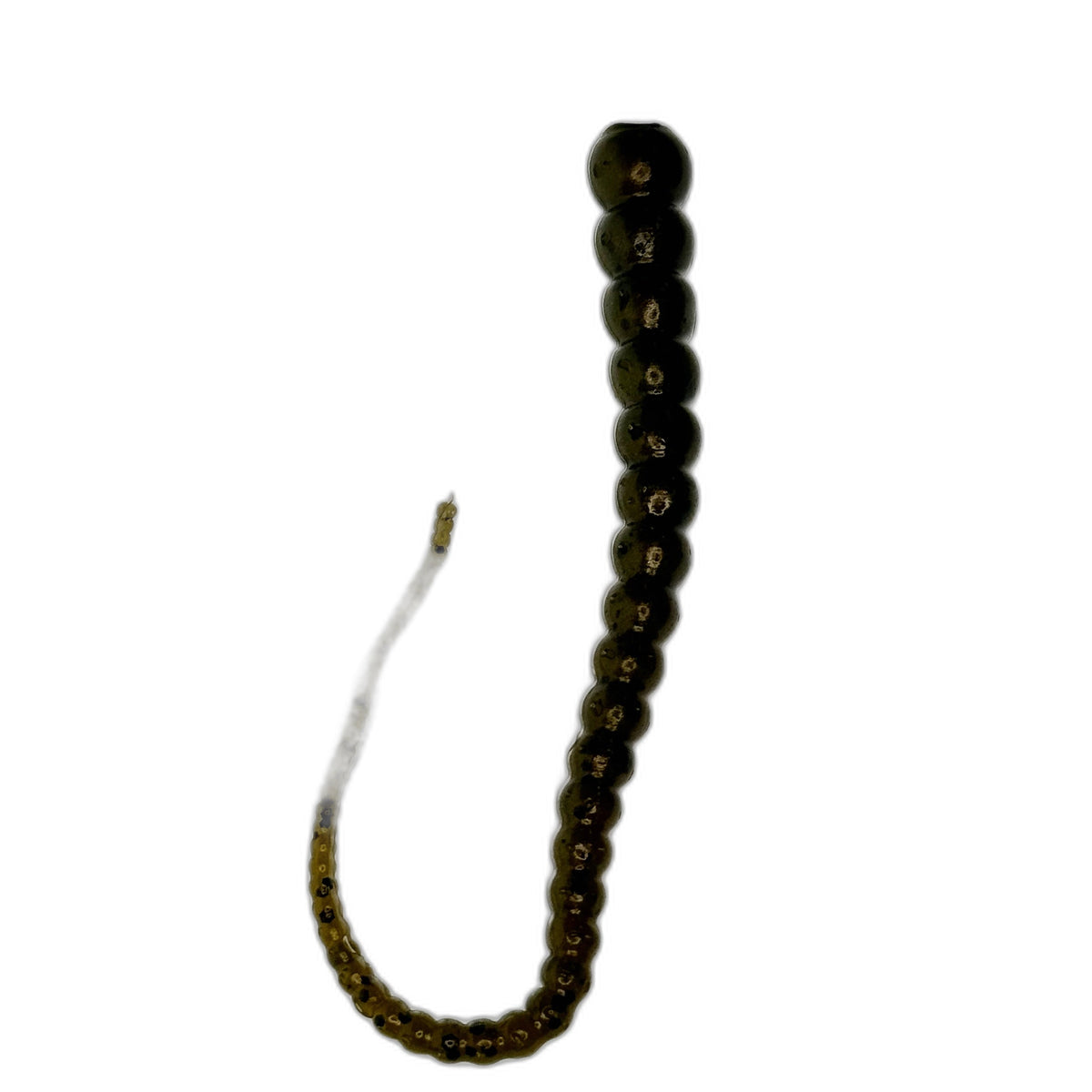 Whip Worm
