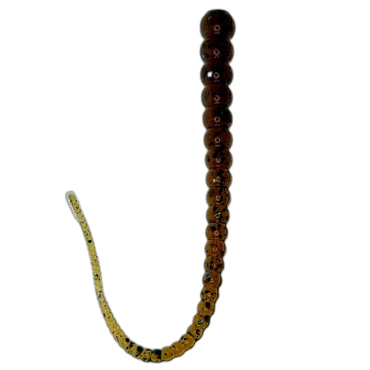 Whip Worm