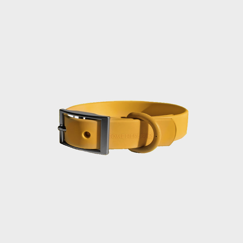 Everyday Collar