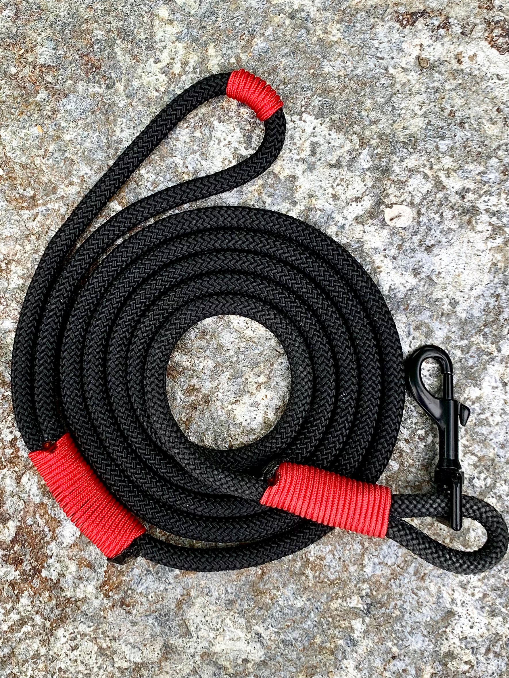 Engineered Jet Black Rope Leash in Red